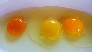 Yumurta sarısının rengi nasıl olmalı?