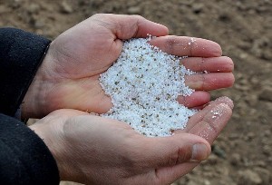 "Astronot gıdası" Kırıkkale'de de yetişecek