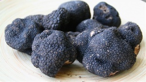 Gizemli mantar için ilk tarih