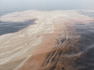 Kahverengi tabaka bu kez bu tarafta