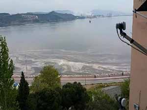 Denizdeki kırmızı ve kahverengi renklerin sebebi bu