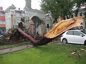 Edirne'de şiddetli sağanak ve fırtına