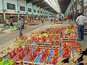 Fırsatçıların fiyat artışını önlemek için tavan fiyat