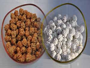 Kula leblebileri AB'ye girdi