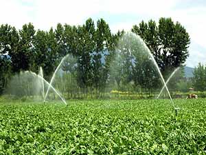 Diyarbakır'da 400 bin dekar arazi suya kavuşacak