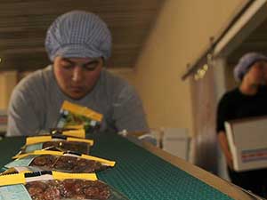 "Okul üzümü"nün dağıtımı başlıyor