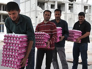 Kobanililere en fazla yardım Türkiye'den