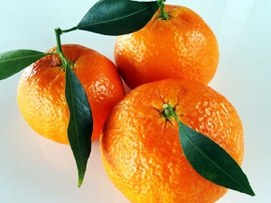 Dolu narenciyeyi vurdu