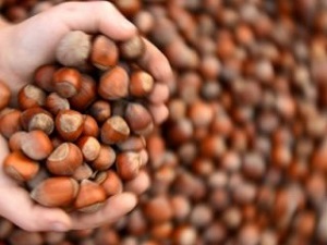 Bunu Yapana 150 Bin Euro Verilecek