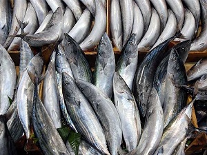 "Kemoterapi sırasında balık tüketmeyin" uyarısı