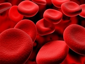 1 Hangi kan grubu hangi hastalığa yatkın