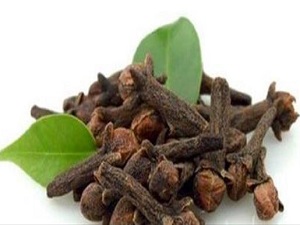 Mutluluğun adresi karanfil