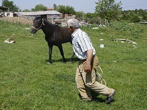 Beş bin lira maaşlı çoban işi bıraktı