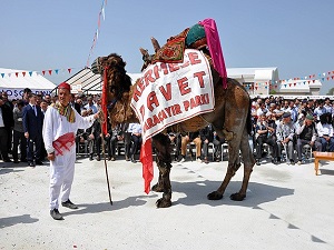 Kermeste deve satıldı