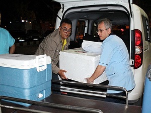 Organları 3 kişiye hayat verecek