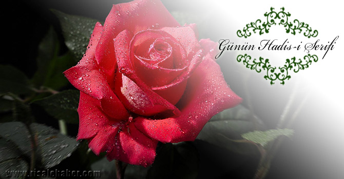 Kalbinde zerre miktarı iman bulunan kimse...