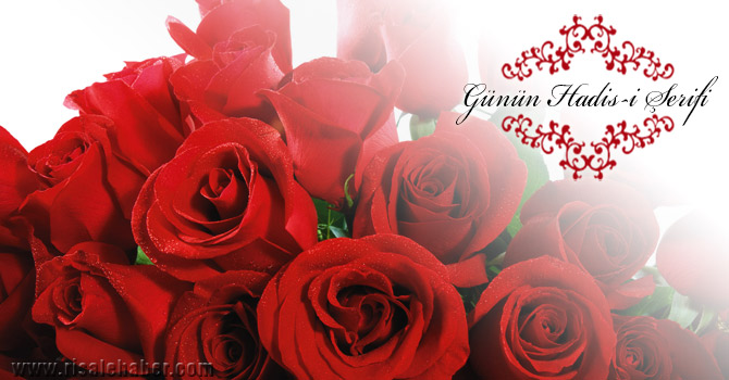 Kur'ân'ı gereği gibi amel ederek okuyan kimse...