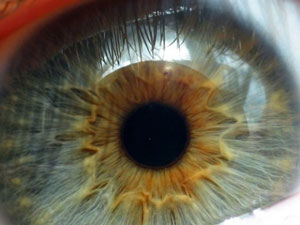 İyi görmek için iyi beslen