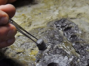 60 milyon yıllık fosil bulundu!