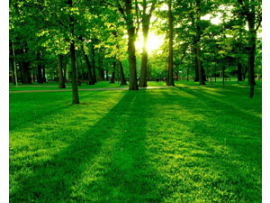 Yeşil alan, kentsel dönüşümle de yapılabilir