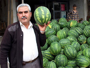Adana karpuzunun kilosu 50 kuruşa kadar düştü