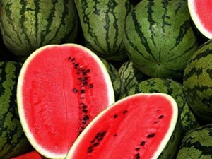 Karpuz fiyatları düştü!