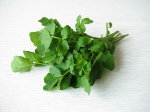 Terenin mucizevi faydaları