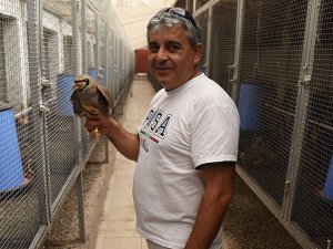 Hobi amaçlı beslediği keklikleri şimdi ihraç ediyor