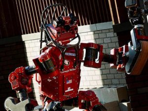 Robotlar büyük ödül için yarıştı