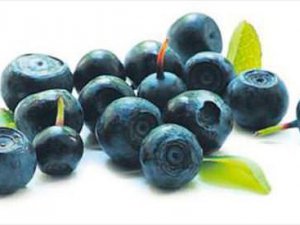 Üzüm yumurta zehir gibi hafıza