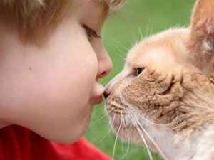 Kedi beslemek şizofren yapabilir!
