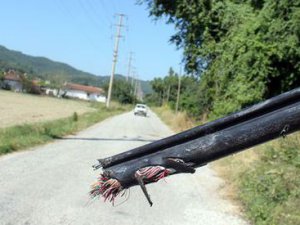 Telefon hattındaki kablolara göz diktiler