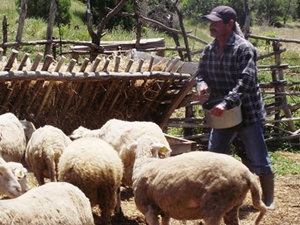 Okuduğu romanla hayatını değiştirdi