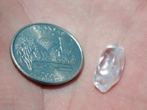 Parkta kazı yaptı elmas buldu!