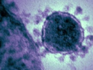 Ebola salgını Liberya’ya geri döndü