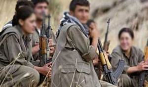 Diyarbakır'da PKK operasyonu: Bir kişi yakalandı