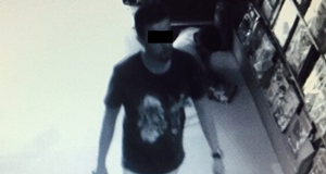 Jandarma hırsızlara göz açtırmıyor