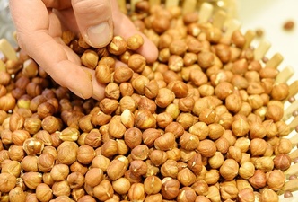 Fındık üreticisinin elindeki stok çok değerli