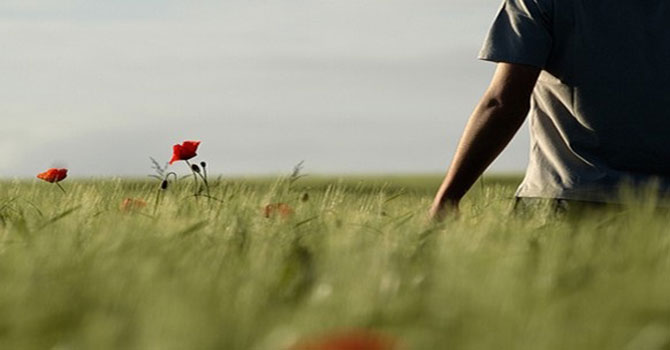 Kader ile irade’nin dansı