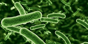 Herkesin 'bakteri bulutu' kendine!