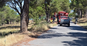 Atılan sigara izmariti ormanı kül ediyordu