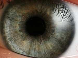 Renk körlüğü sadece erkeklerde görülüyor