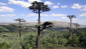 Sağlık Turizimi nin Merkezi  Kızıldağ