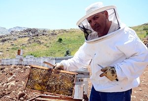 Hobi amaçlı başladığı arıcılıkta dünya ikincisi oldu
