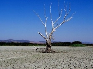Türkiye çölleşme tehdidi altında!