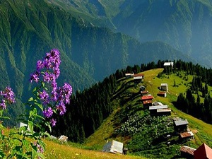 Karadeniz’e 'tehlikesiz atık' vizesi