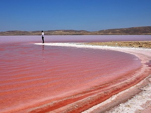 Tuz Gölü’nde 'kırmızı beyaz şölen'