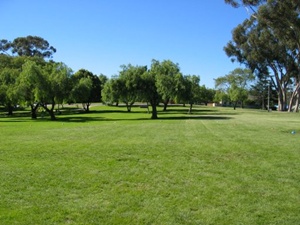 Sincan'a 10 yeni park