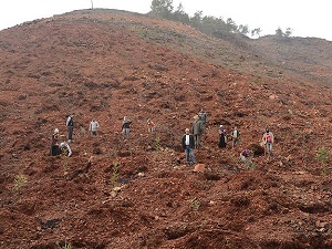 Adrasan'da yangının izleri silindi