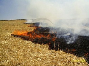 Sıcaklar arttı; orman yangınlarında risk yükseldi